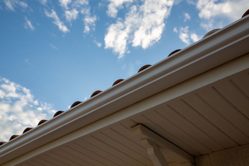 Gutter and Roof Edge Repairs