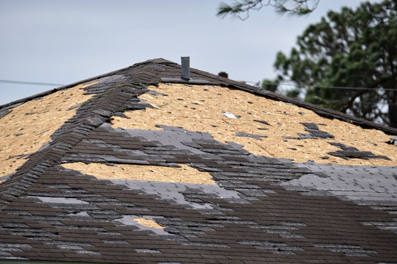 Roof Shingling